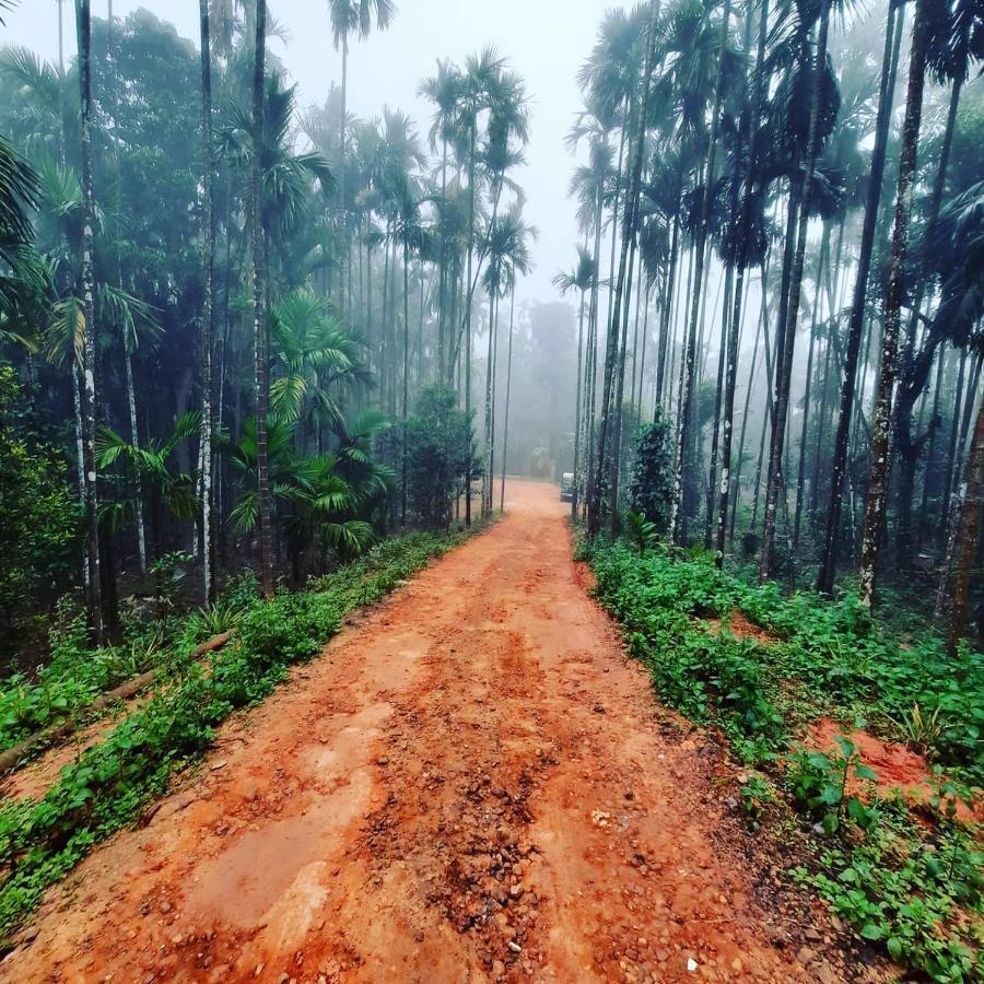 Hosamane Farm Inn Sringeri エクステリア 写真