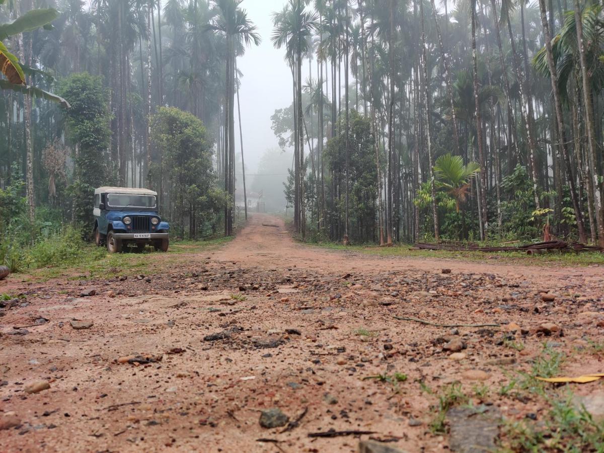 Hosamane Farm Inn Sringeri エクステリア 写真