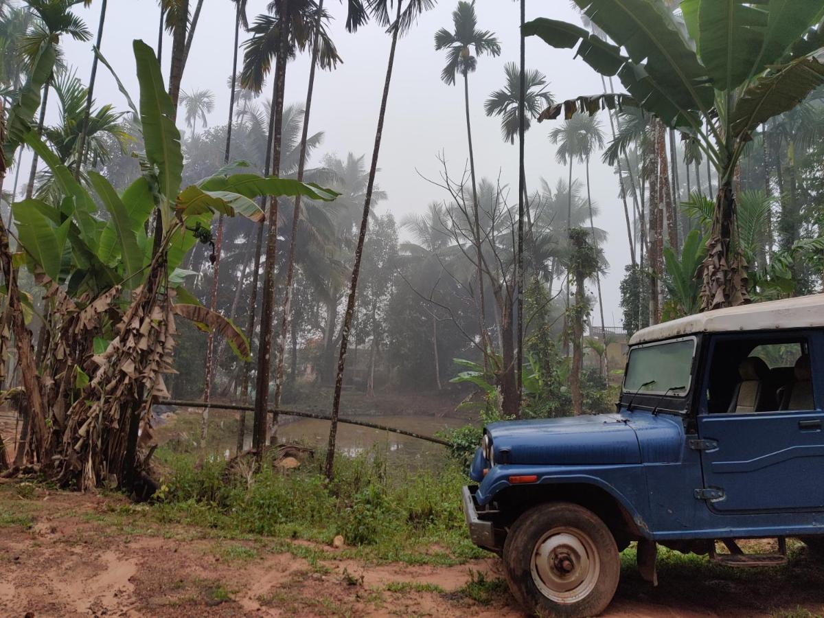 Hosamane Farm Inn Sringeri エクステリア 写真