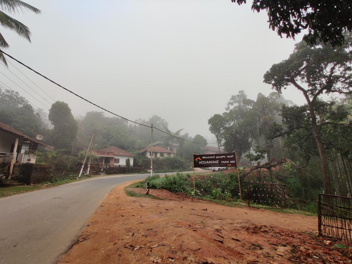 Hosamane Farm Inn Sringeri エクステリア 写真