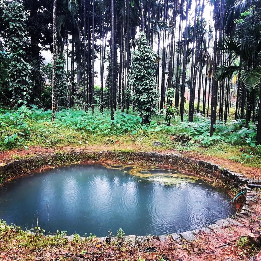 Hosamane Farm Inn Sringeri エクステリア 写真
