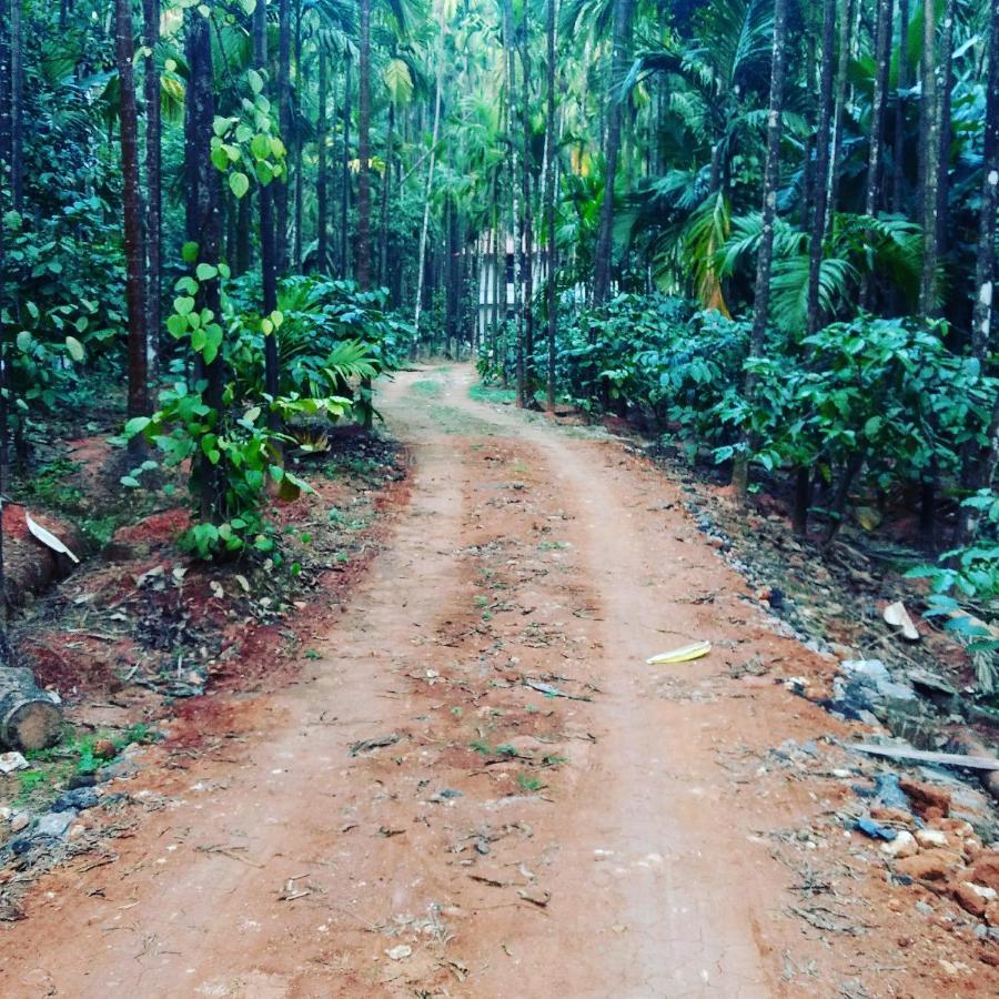 Hosamane Farm Inn Sringeri エクステリア 写真